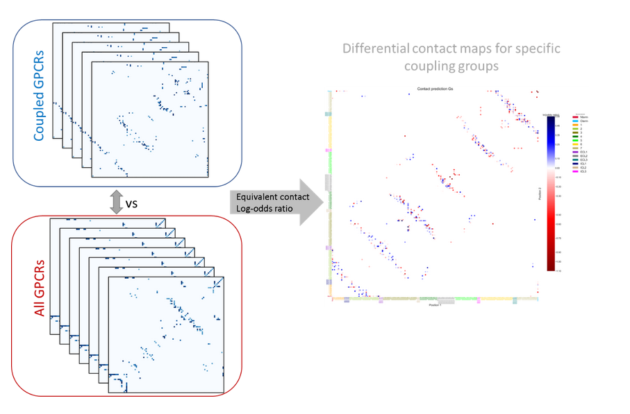 contact analysis